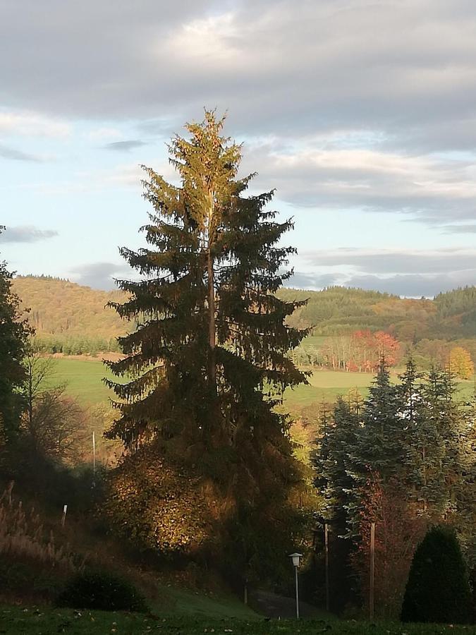 Ferienwohnung-In-Schoenster-Lage Baar  Exteriér fotografie